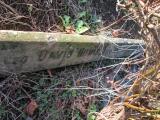 image of grave number 365013